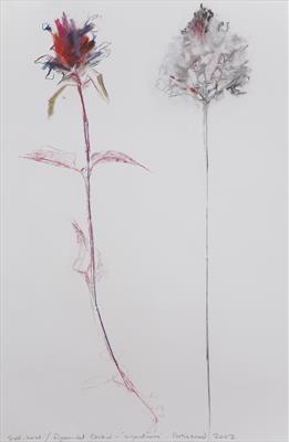 ... self heal and pyramid orchid [2002]