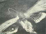 Moth 1. by Judy Rodrigues, Artist Print, mono type /screen print