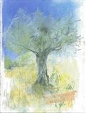 Olive tree by Judy Rodrigues, Drawing