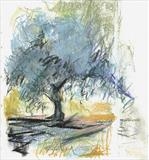 Olive tree by Judy Rodrigues, Drawing